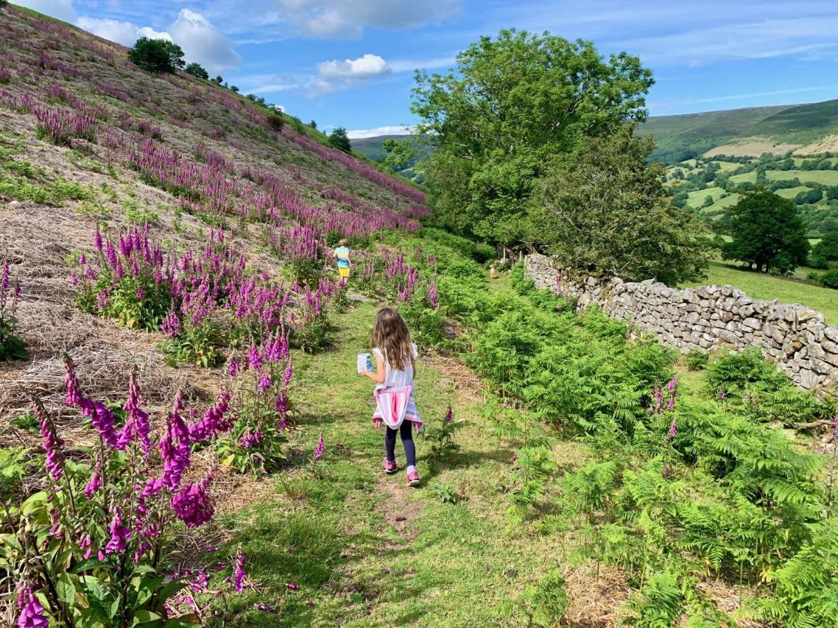 Black Mountains Stylish Hideaway, Nr Crickhowell Llanbedr  外观 照片